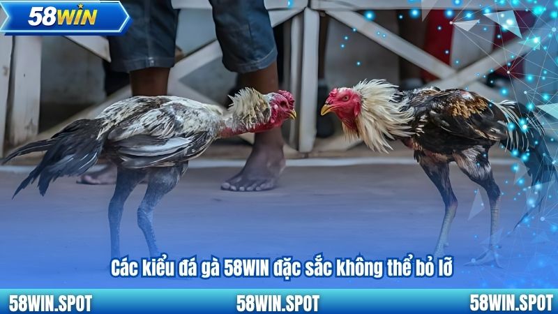 Các kiểu đá gà 58WIN đặc sắc không thể bỏ lỡ