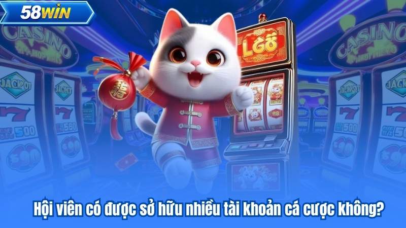 Câu Hỏi Thường Gặp 6 Hội viên có được sở hữu nhiều tài khoản cá cược không?